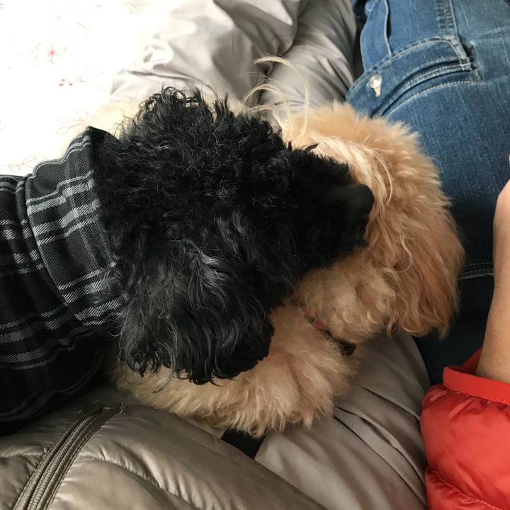 C20f1119 55ec 4f09 adb3 96ac44320eb9 1520659268599