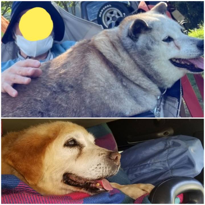 C20f1815 6251 470f 8fd4 efb19ee93879 1750000864433