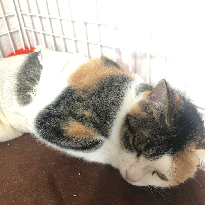 C20f21b7 c523 41b4 aea6 014065b48e91 1573622499095