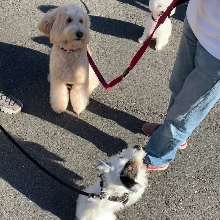 C20f5bbc bd08 4ba7 b341 55ca9ed10af6 1697411554307