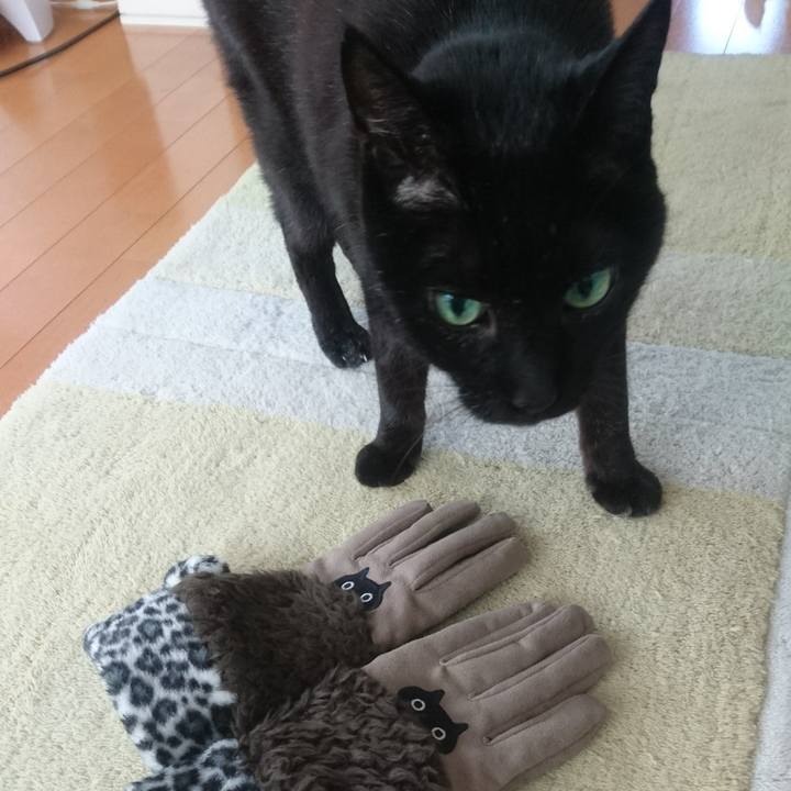 C20fa7e1 5034 4934 82b9 a35106ca85c5 1517185842476