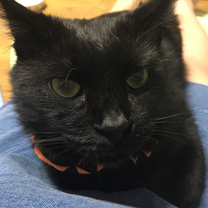 C20fbcfd 11db 42f5 b117 2a1e48a91f02 1540385243269