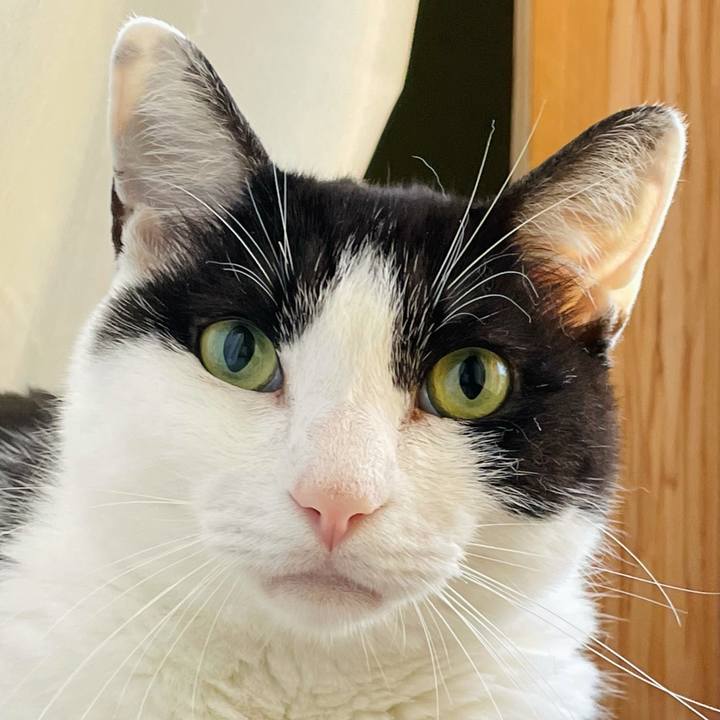 C20fc2bf b968 42f5 b78f 8c6ff68e0b52 1626140144309