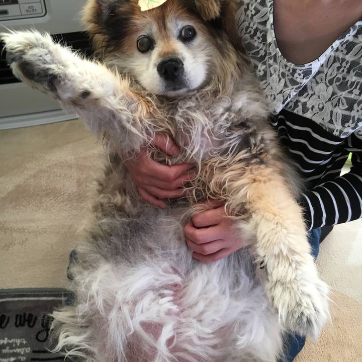 C20fda4a da53 499d a71e 8901e6c678a6 1556949055110