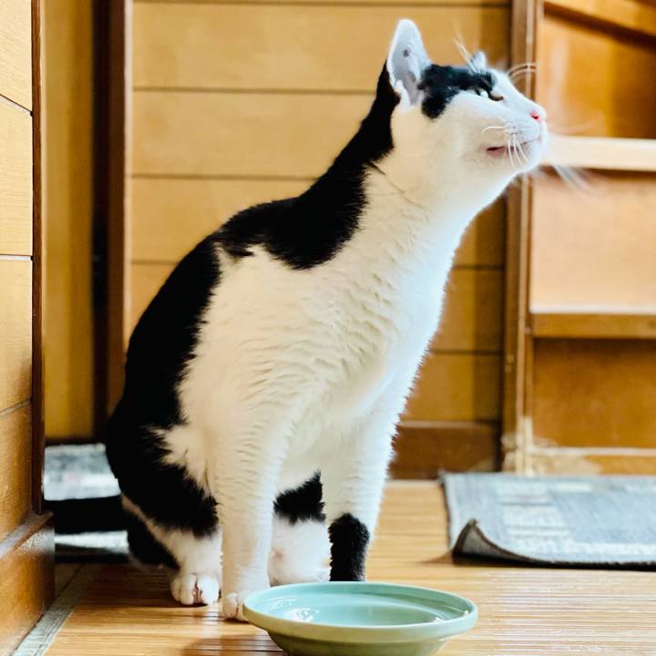 C20fe5d0 e677 4b27 be72 0a64674c8481 1623206455184