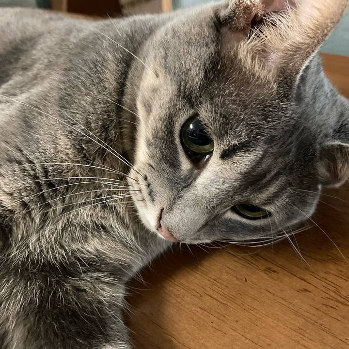 C2106835 2be5 426d bb5e 0984144cec3a 1662505391431