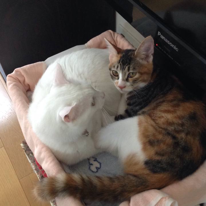 C210733a 31ae 4feb 8956 aa99a5fd4fb6 1630840617426