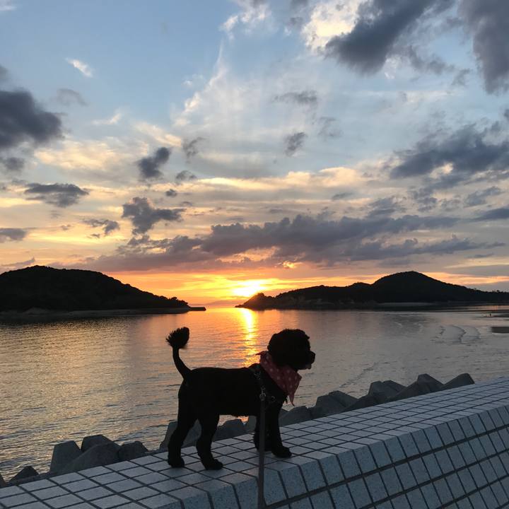 C210a337 01dd 4070 a999 4468696b403b 1535283189557