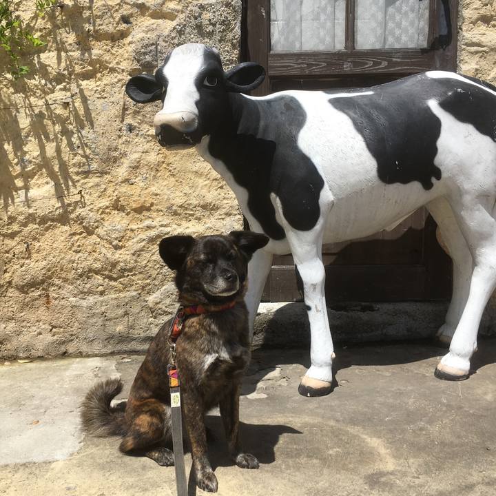 C210a83f 28a7 4ad0 87c1 ad64d4caab6c 1525436302392