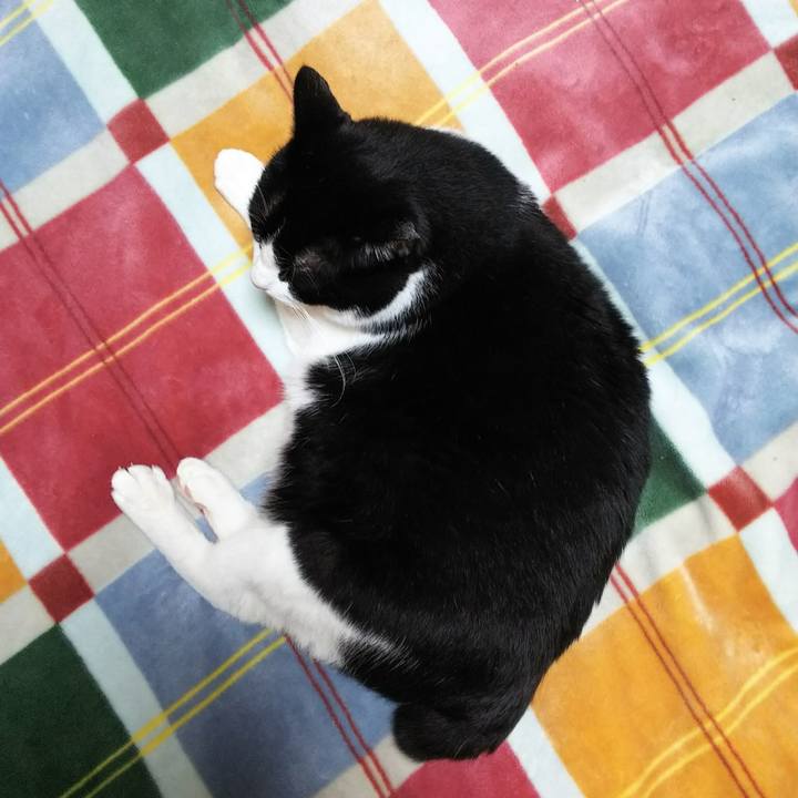 C210cd20 82e7 4441 8c43 a610283e8007 1539639806525