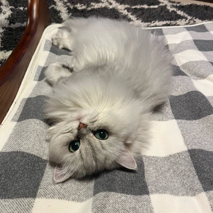 C210e242 f949 450c a400 e791fdf23fc8 1636549128632