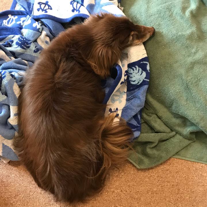 C210e2be b8ab 4432 aa58 dd72eba8902a 1565743658507