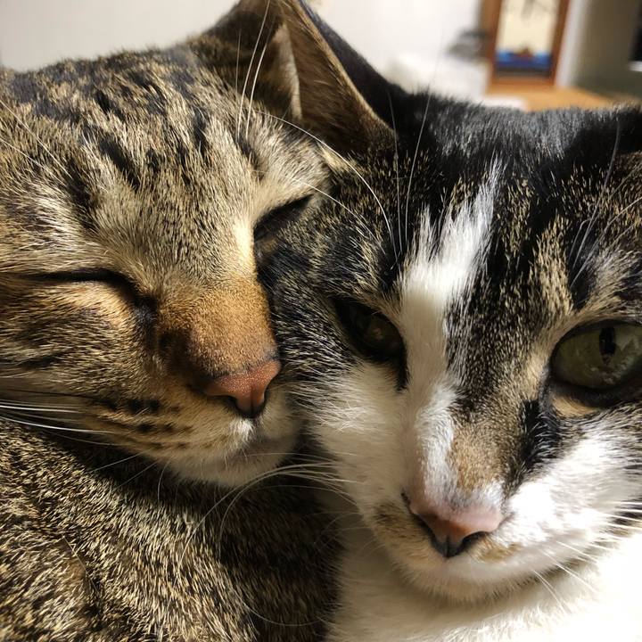 C210feb4 600e 46fb bc5c fc682691a48c 1520158335463