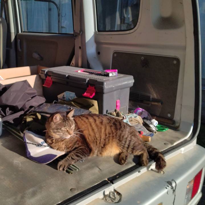 C2110dbc 1a7f 473f a378 4039b68d503c 1719439084381