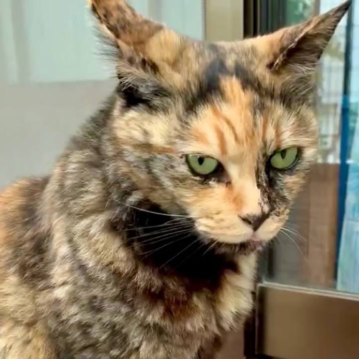 C21113d5 35eb 4b26 818d 9e805f3061b1 1747709325359