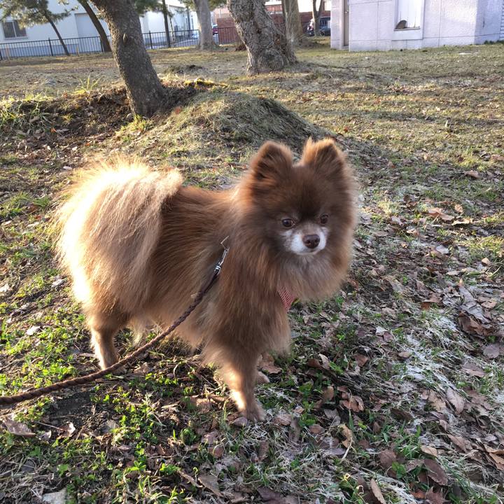 C2112ecc 7bbe 400a a920 40b243e767dd 1522115242808