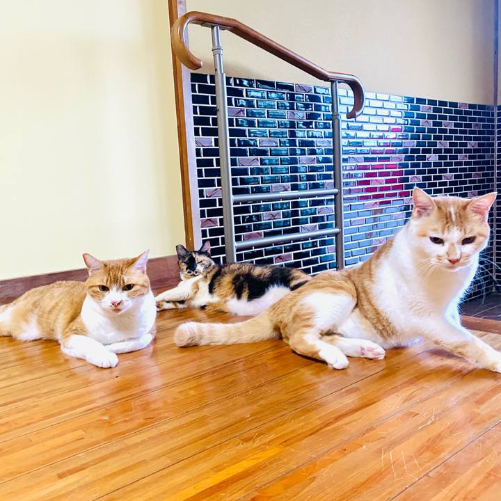 C2113370 6d52 4c27 bde9 8359dcffad1e 1660169641170