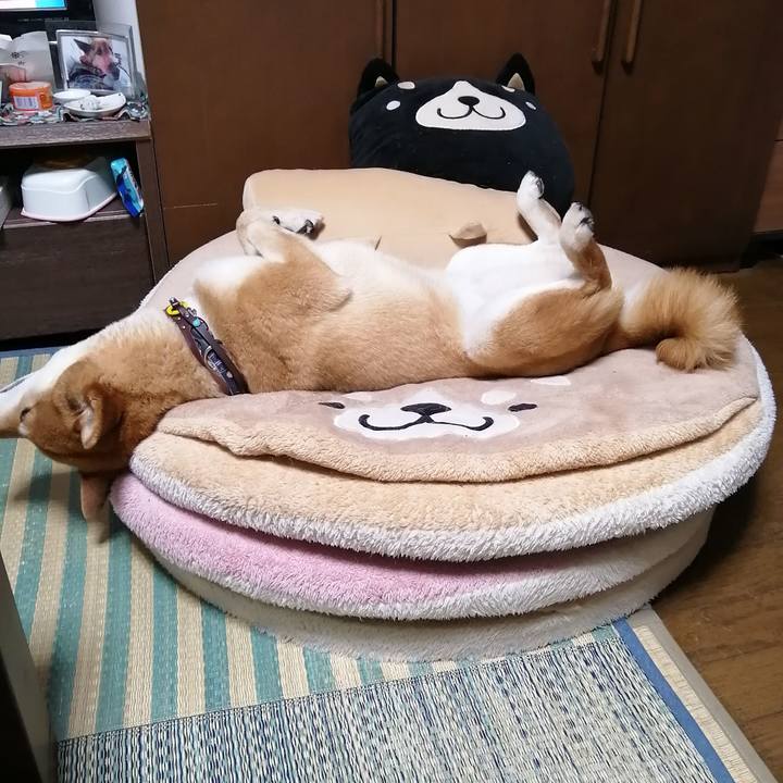 C211362b b7ea 4f88 b1eb ee0e5af9a1f9 1589201798186