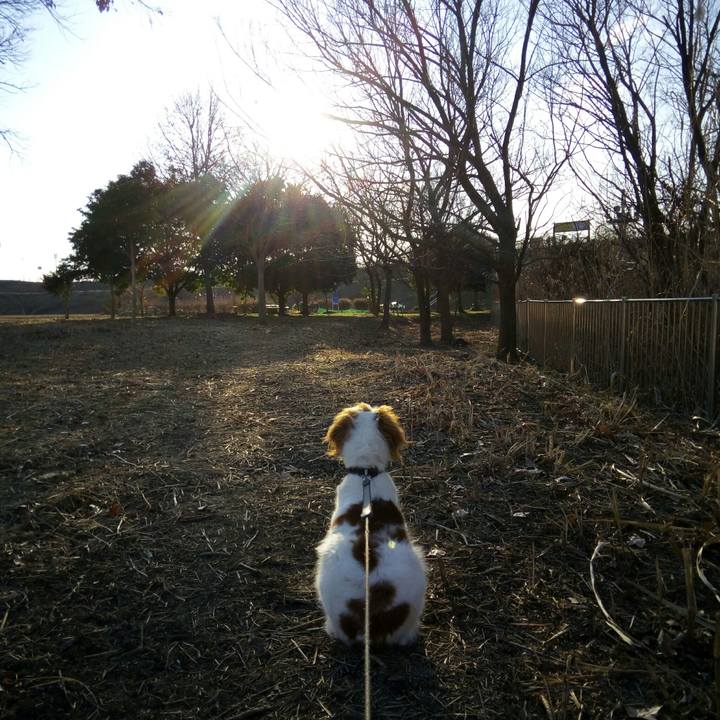 C211645d 7502 482f a34a cfab9389187f 1517993141714