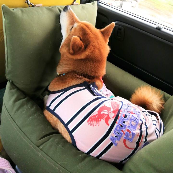 C2116ef3 d4c0 465a bc94 9698bc6cb67c 1617008344615