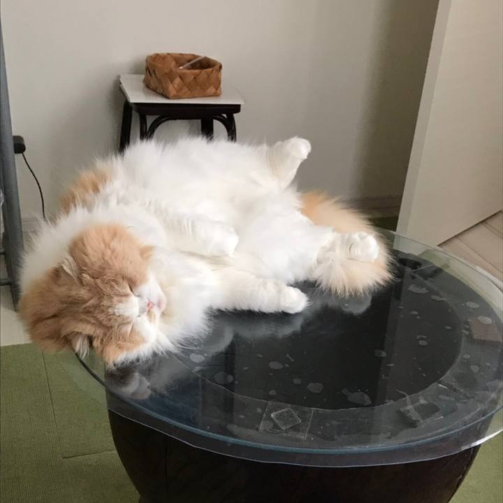 C211a964 4345 41bf 9ced 803095a7daa1 1581840349620