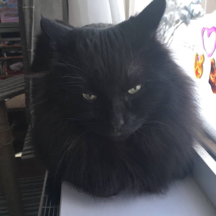 C211ff43 53c5 439c 9192 2a448966ab3c 1548291593295