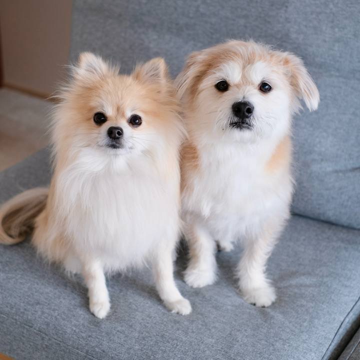 C2120fa1 01c7 4b1f 8dba a4d8b3aba7e1 1770243891046