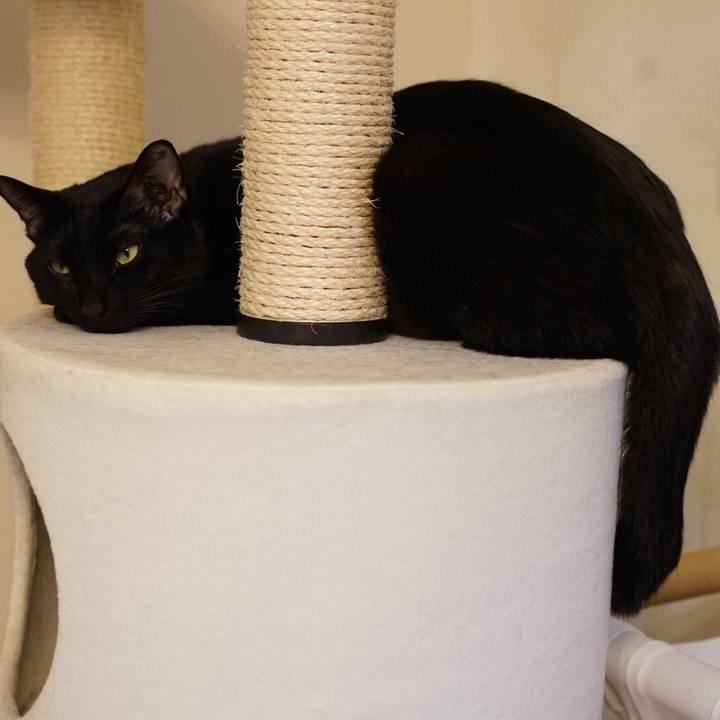 C2123bfc 7c1a 4bb8 a7a2 30fdadb09566 1515594896211