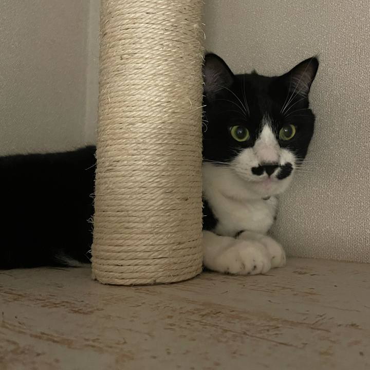 C21245ac 9f62 40b7 b0a3 df13708ec563 1665313335051