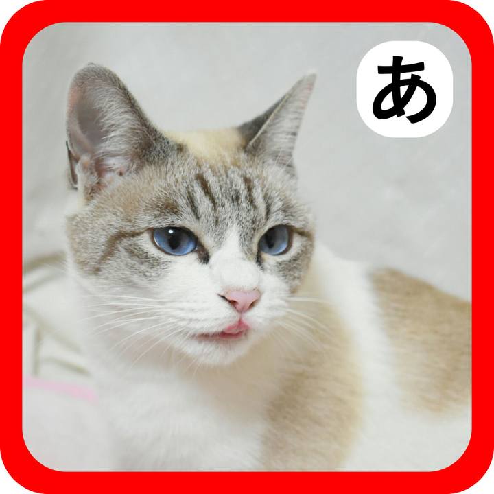 C2127f03 bb2b 421a b48b a7e150ce6042 1514773044472