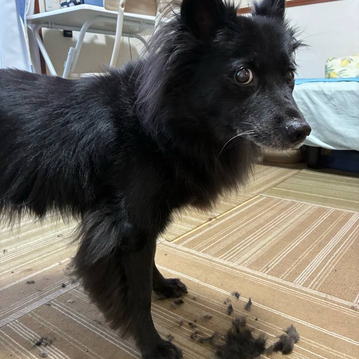 C2128d8e 20c1 4636 a05e 824d5d556556 1756684040265