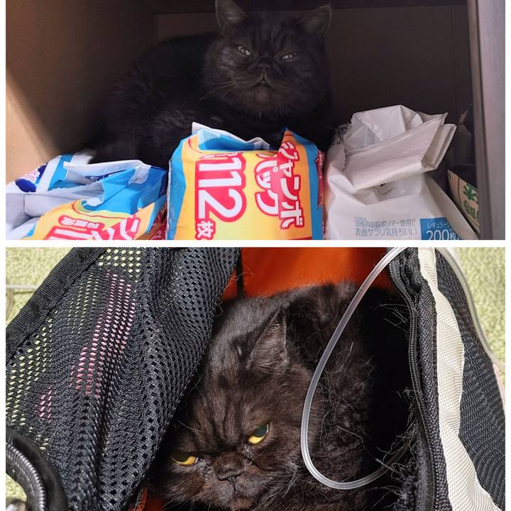 C2129457 7d6d 4626 84a2 5e0fd234fb28 1634296689527