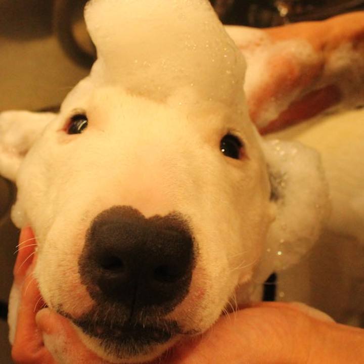 C212e6f6 dc43 4d1f aeda 5366b7dc36a9 1550804061280