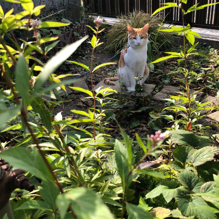 C2132c5d 60f8 4eb8 9ae6 af4a8baefd78 1541136070443