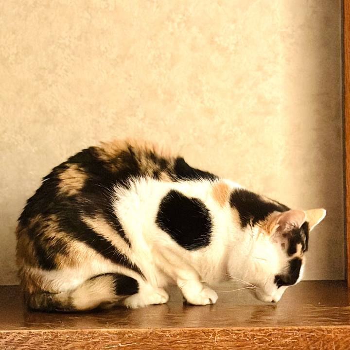 C2134217 6704 4367 84b8 8b68b0074ed2 1714438716331