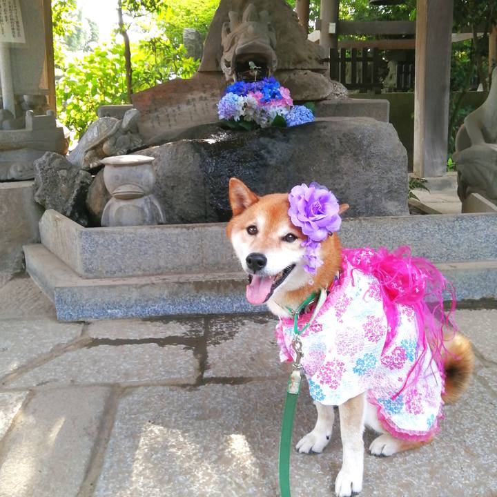 C2134958 97a3 4c63 a90f 81ad1896520d 1656819332659