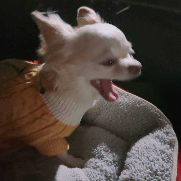 C2137c18 dab3 4c34 80f4 d6a89cc85667 1700986809630