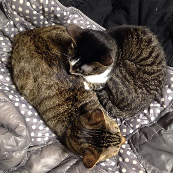 C213b6d9 6b78 4b68 83b5 96063f02b55b 1513368439669