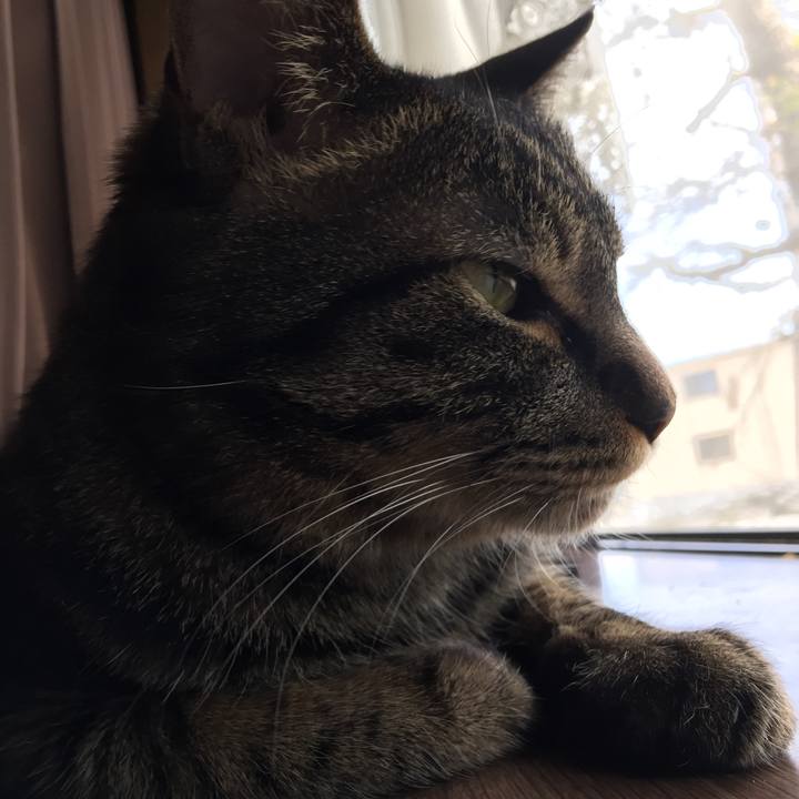 C213dba2 fd43 460f a2d3 ac9c667814a0 1635047097244