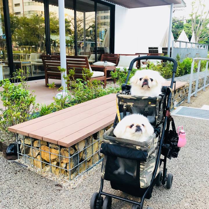 C213ff7b 1e67 4de8 a65a 4b775a3ae524 1601416235545