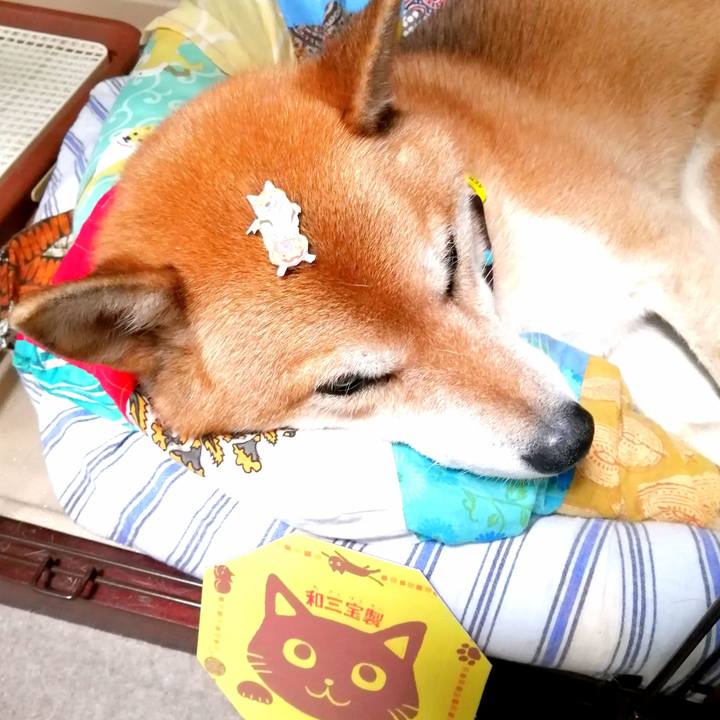 C2143427 04a4 458e bd18 fad7093642bf 1665632938276