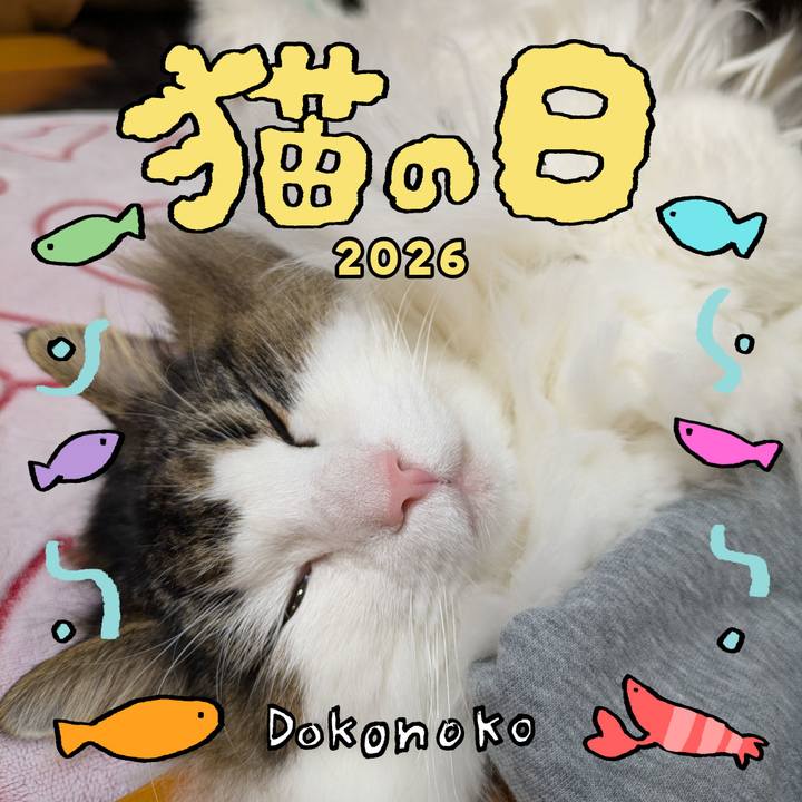 C21457bf 7eec 4f1b 88cc 998348299d67 1771712201238