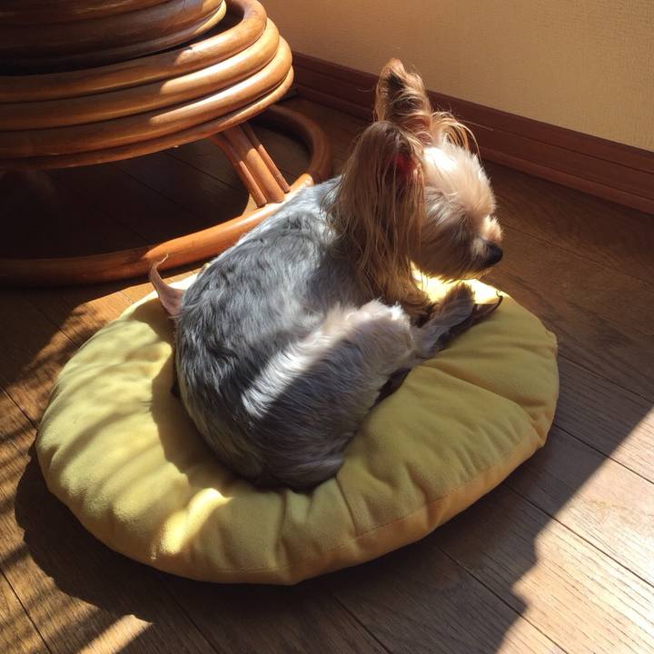 C214c1e9 49bb 4689 919c db2a01437508 1536663688091