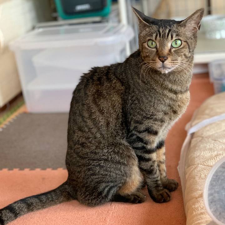 C214d427 e6d0 4080 b7b4 756eb69570c1 1588211758516