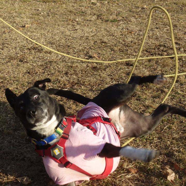 C214fae3 e055 4369 956f d56aacbb5b10 1674090094266