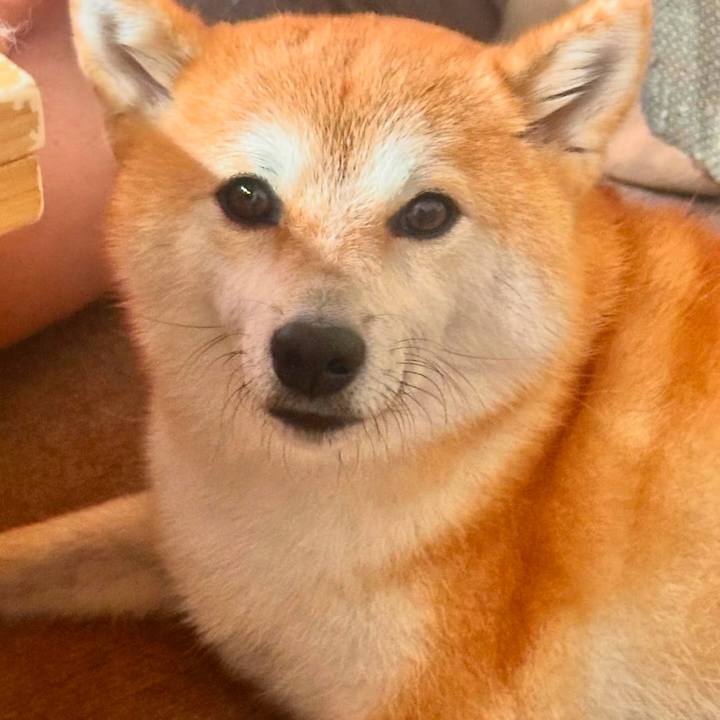 C2151f2f 6aea 4b10 80d8 5eaeb8643d70 1731304076411