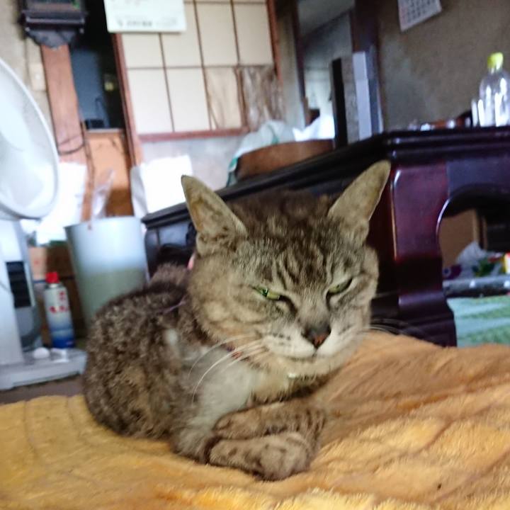 C2152ea6 5005 4895 9f96 4358cc5d2c48 1595140551217