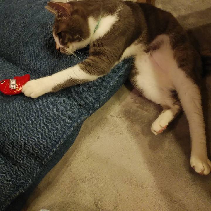 C21530a8 928d 42a8 9fa1 d7cd882246fc 1593613285610