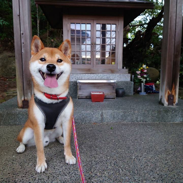 C215535b 7333 4f24 8f92 580c3c88649c 1761428383234