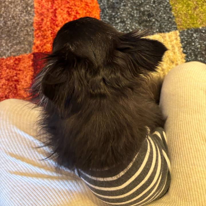 C2159076 9f0a 4fd5 9d2e fd45e332bc19 1745686415360